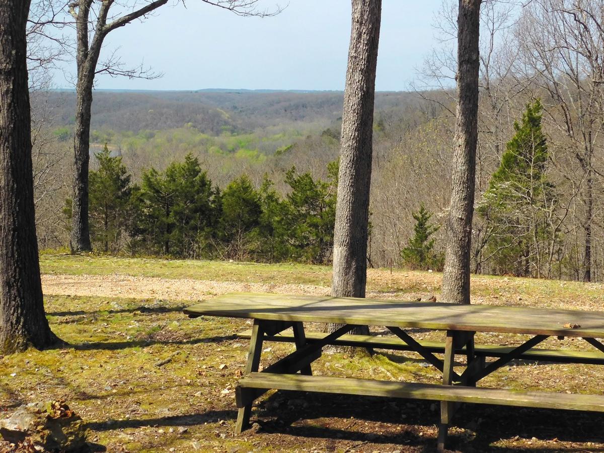 Rock Eddy Bluff Farm Cabins Dixon Extérieur photo